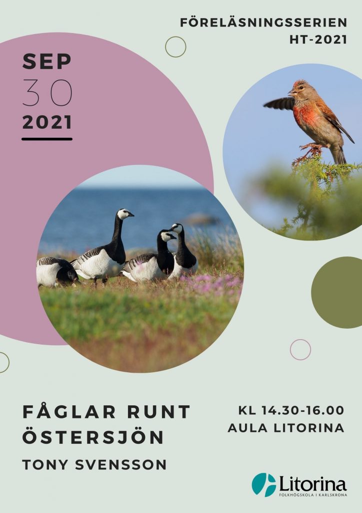 Den 30 september, kommer Tony Svensson att föreläsa om fåglarna runt Östersjön.